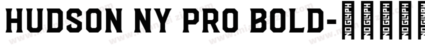 Hudson NY Pro Bold字体转换